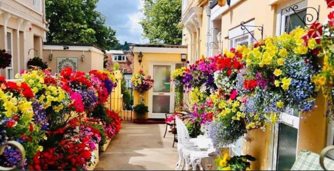 Crowndale Torquay - Exclusively For Adults Bed and Breakfast Exteriör bild