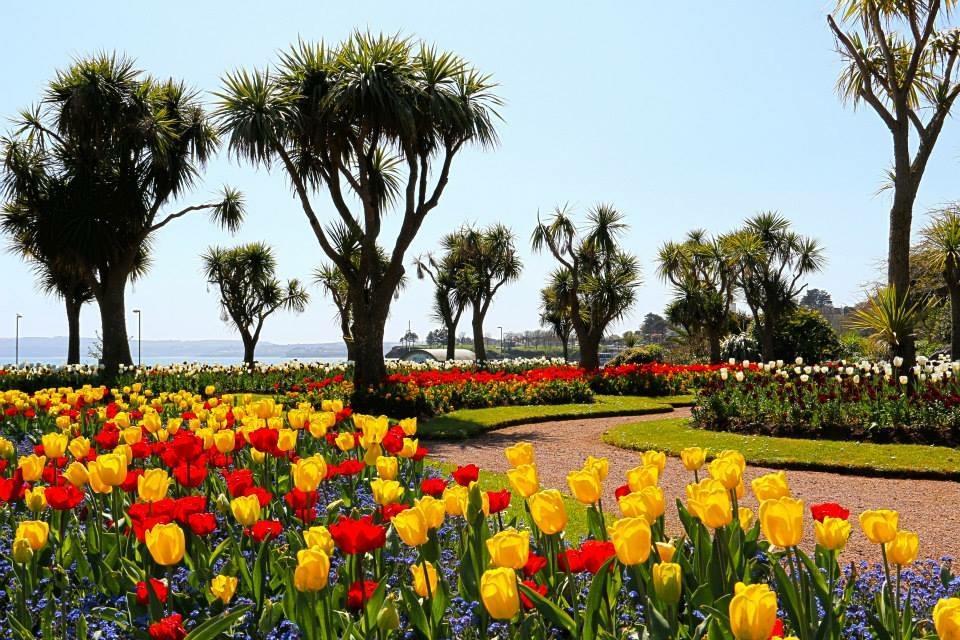 Crowndale Torquay - Exclusively For Adults Bed and Breakfast Exteriör bild