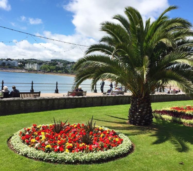 Crowndale Torquay - Exclusively For Adults Bed and Breakfast Exteriör bild