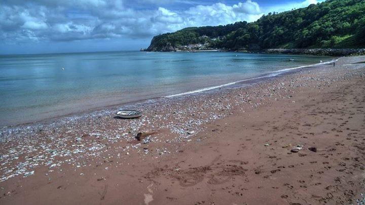 Crowndale Torquay - Exclusively For Adults Bed and Breakfast Exteriör bild