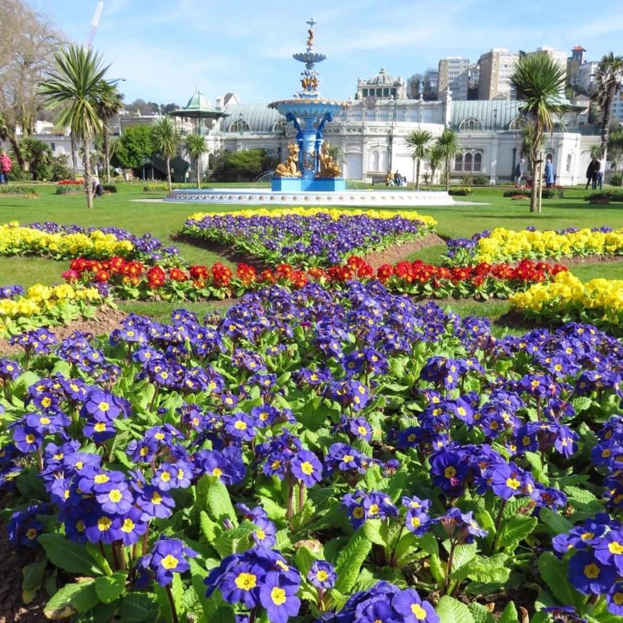 Crowndale Torquay - Exclusively For Adults Bed and Breakfast Exteriör bild