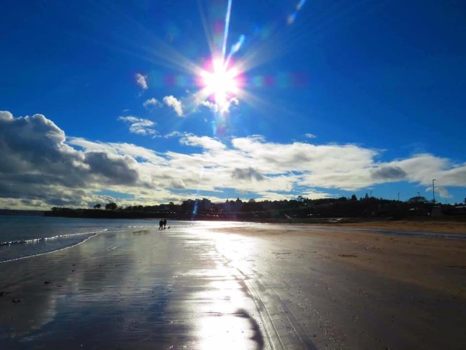 Crowndale Torquay - Exclusively For Adults Bed and Breakfast Exteriör bild