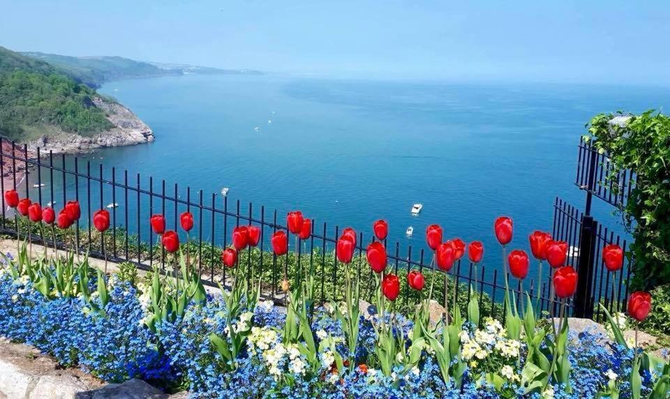 Crowndale Torquay - Exclusively For Adults Bed and Breakfast Exteriör bild